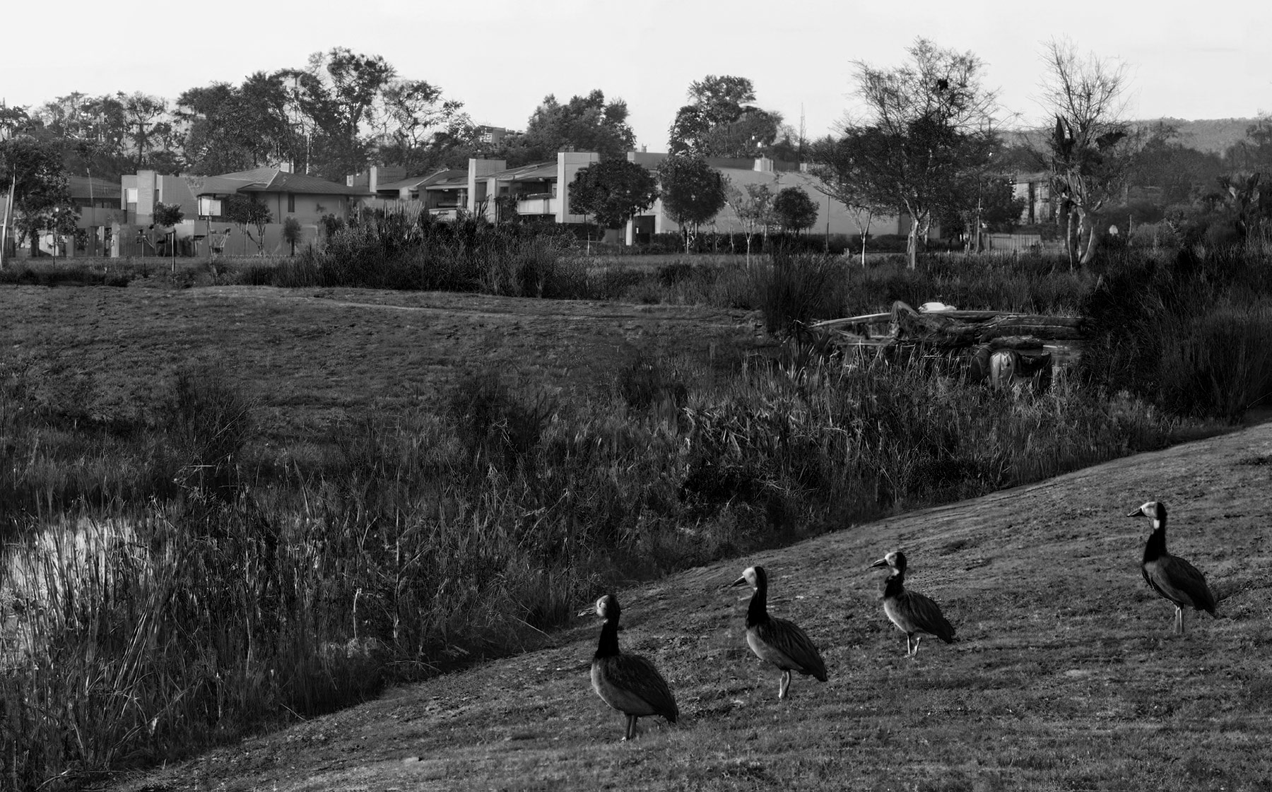 Tshwane’s appeal against Lombardy Estate rates dispute judgment dismissed